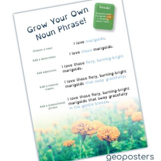 Noun Phrase Poster Educational grammar poster KS1 KS2