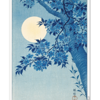 Blossoming Cherry on a Moonlit Night, Ohara Koson