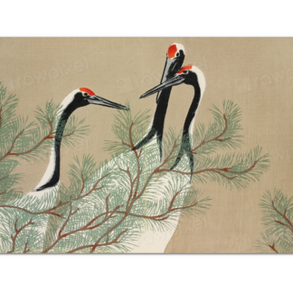 Cranes, Kamisaka Sekka (1909)