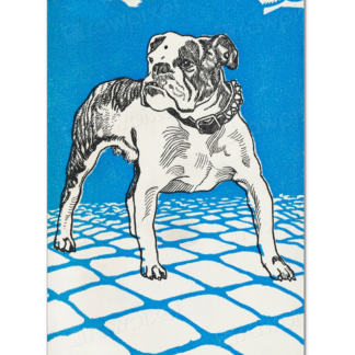 Bulldog (1912) by Moriz Jung
