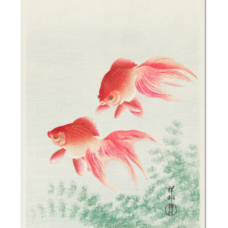 Two Veil Goldfish (1926), Ohara Koson