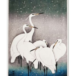 Group of Egrets, Ohara Koson
