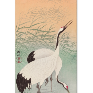 Two Cranes, Ohara Koson