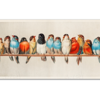 Vintage Bird Illustration, Hector Giacomelli