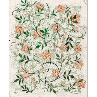 Jasmine (William Morris)