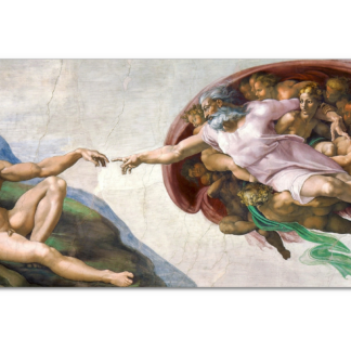 The Creation of Adam (Michelangelo, circa 1511)